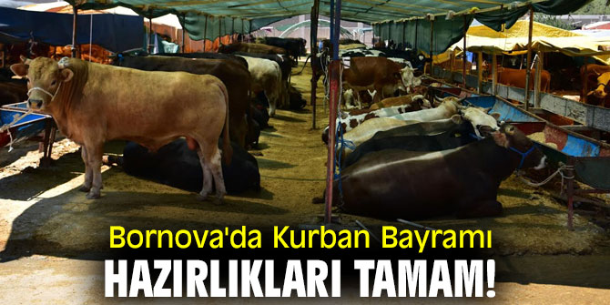 Bornova'da Kurban Bayramı hazırlıkları tamam!