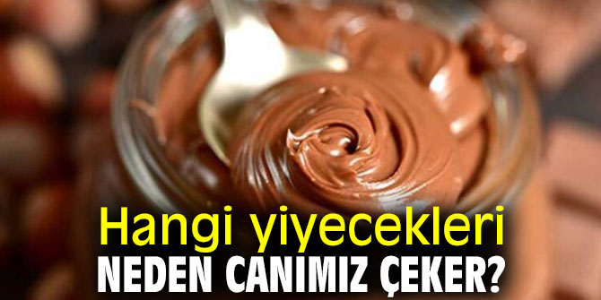 Uzmanı açıkladı! Hangi yiyecekleri neden canımız çeker? 