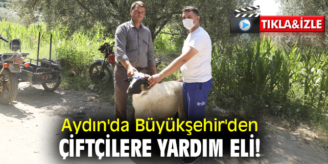 Aydın'da Büyükşehir'den çiftçilere yardım eli!