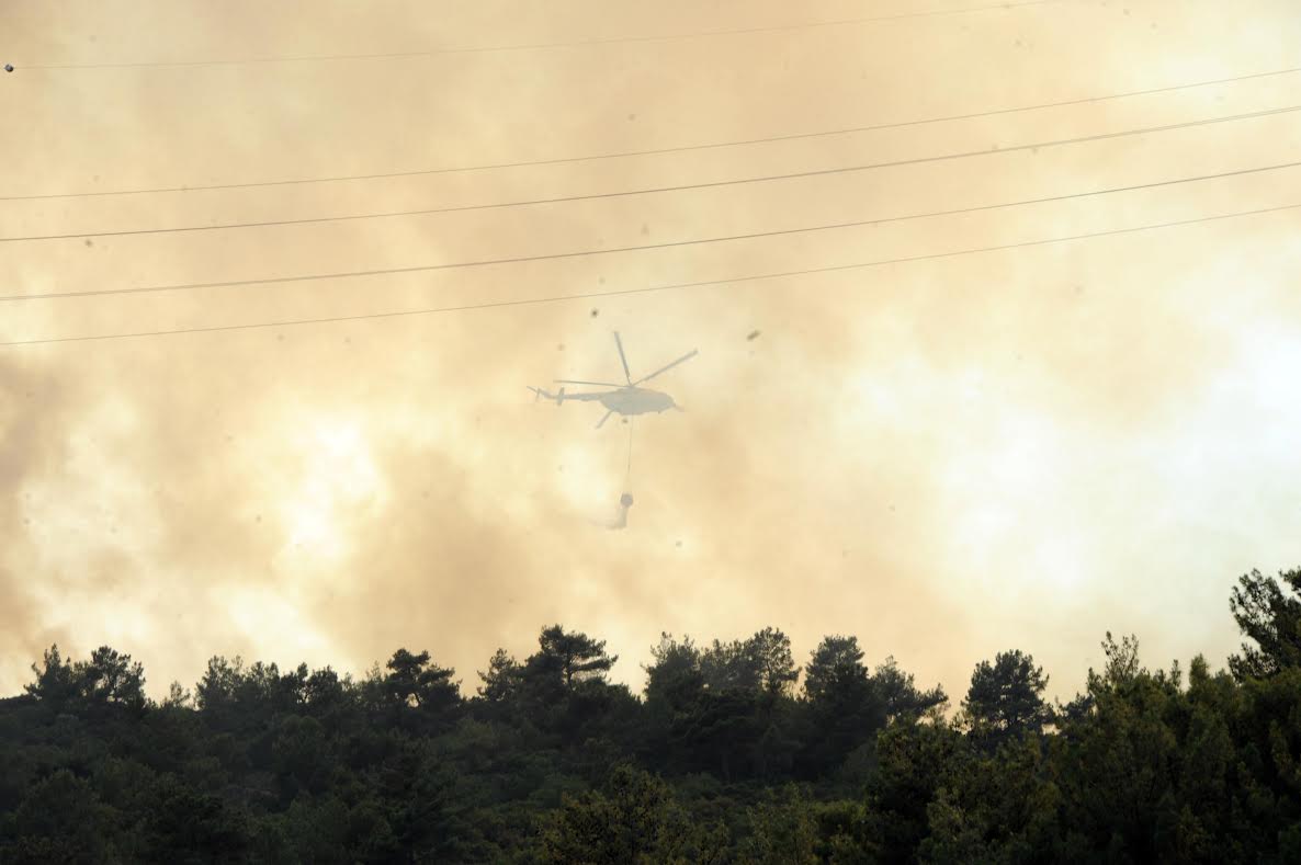 Fatma Çalkaya : Yanan her ağaçla canımız yanıyor