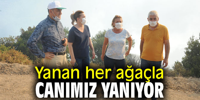 Yanan her ağaçla canımız yanıyor