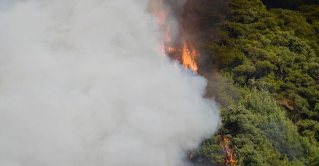 Manisa’daki orman yangınında çalışmalar sürüyor!