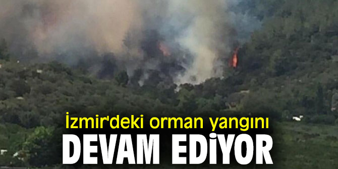 İzmir'deki orman yangını devam ediyor