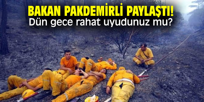 Bakan Pakdemirli'den yangın paylaşımı