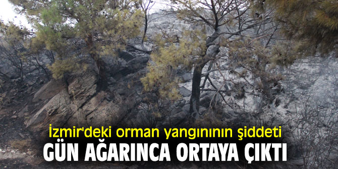 İzmir'deki yangınının etkisi gün ağarınca ortaya çıktı