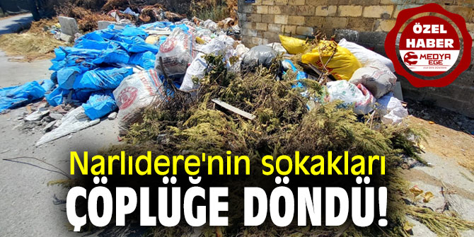 Narlıdere'nin sokakları çöplüğe döndü!