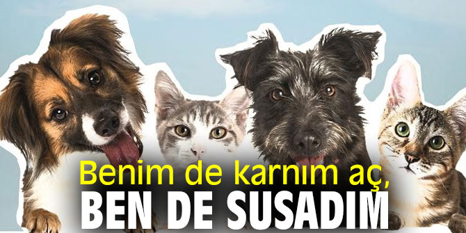 Benim de karnım aç, ben de susadım