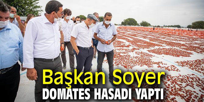 Başkan Soyer domates hasadı yaptı