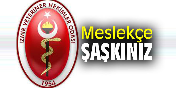 Meslekçe şaşkınız