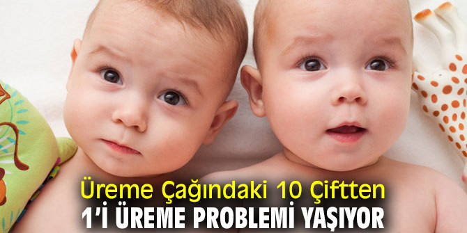 Dikkat! Üreme Çağındaki 10 Çiftten 1’i Üreme Problemi Yaşıyor