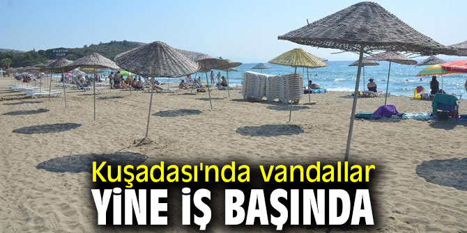Kuşadası'nda vandallar yine iş başında