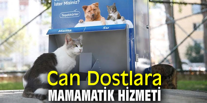 Konak'ta Can Dostlara MamaMatik hizmeti