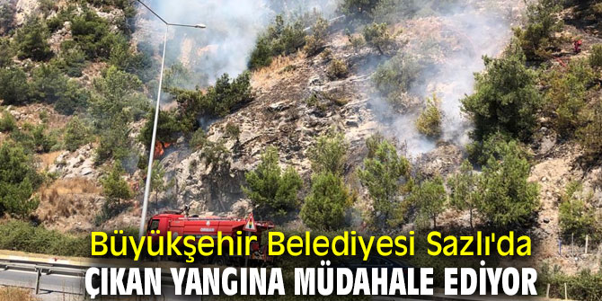 Büyükşehir Belediyesi Sazlı'da Çıkan Yangına Müdahale Ediyor