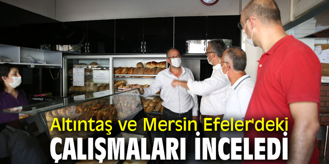  Altıntaş ve Mersin Efeler'deki çalışmaları inceledi