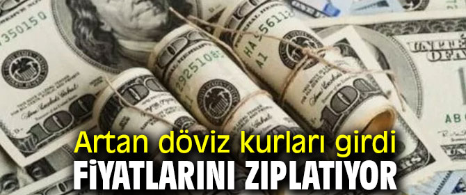 Artan döviz kurları girdi fiyatlarını zıplatıyor