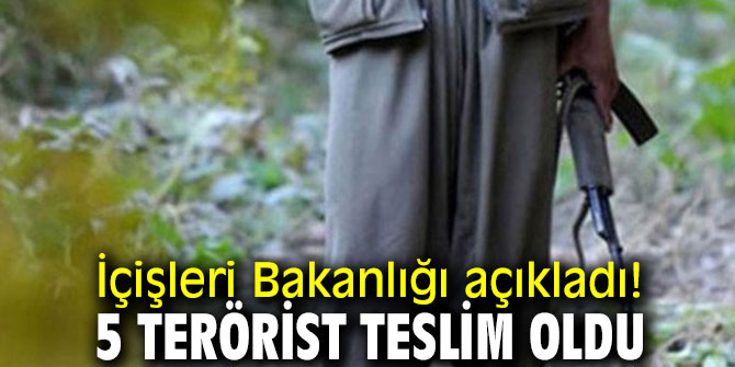 İçişleri Bakanlığı açıkladı! 5 terörist teslim oldu