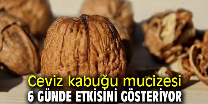 Ceviz kabuğundaki inanılmaz mucize