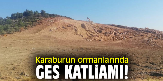 Karaburun ormanlarında Güneş Enerji Santralleri katliamı!