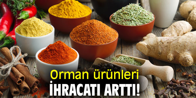 Orman ürünleri ihracatı arttı!