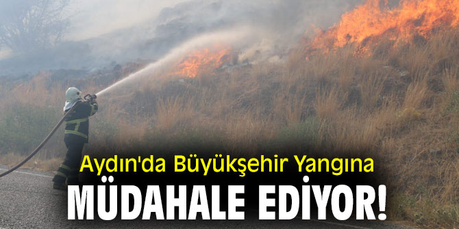 Aydın'da Büyükşehir Yangına Müdahale Ediyor!