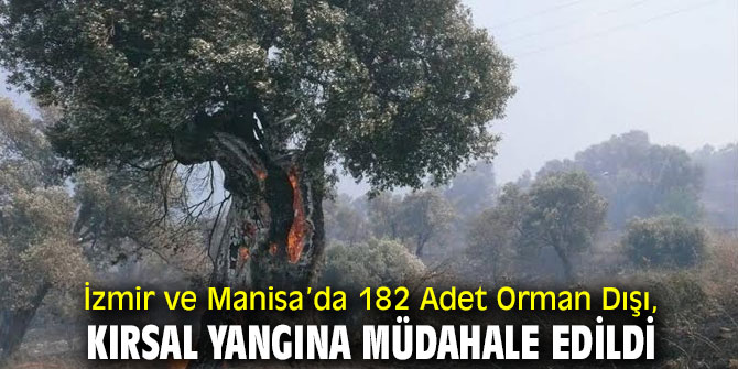 İzmir ve Manisa’da 182 Adet Yangına Müdahale Edildi