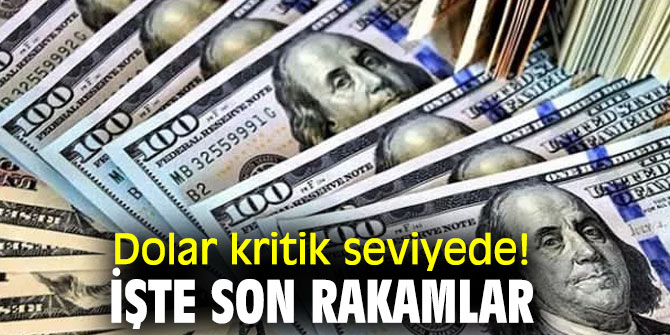 Dolar kritik seviyelerde! İşte son rakamlar!