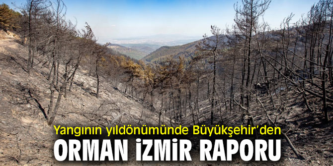 Büyükşehir’den Orman İzmir raporu