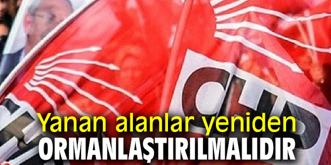 Yanan alanlar yeniden ormanlaştırılmalıdır