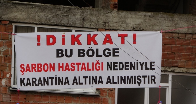 Şarbon vakasında 1 mahalle karantinada!