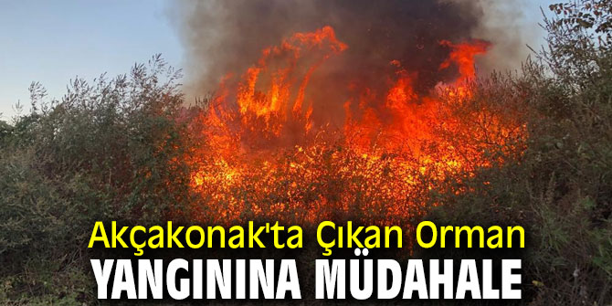 Akçakonak'ta Çıkan Orman Yangınına Müdahale