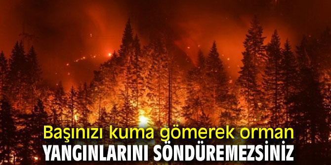 Arslan'dan sert orman yangını açıklaması!