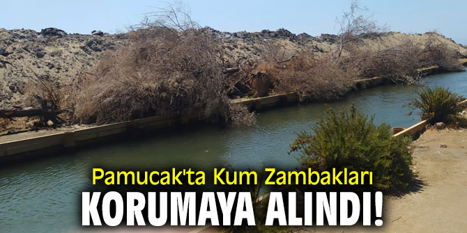 Pamucak'ta Kum Zambakları korumaya alındı!