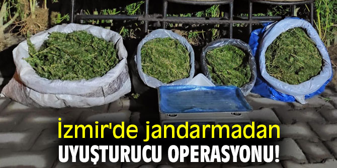 İzmir'de jandarmadan uyuşturucu operasyonu!