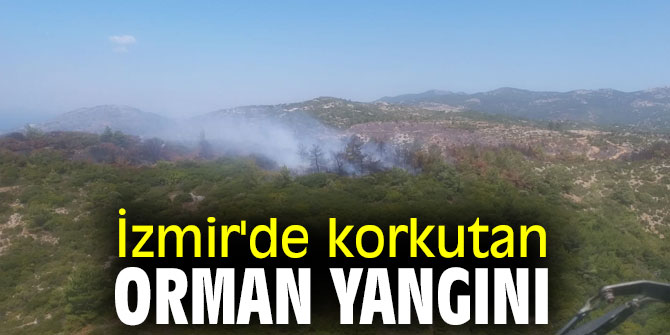 İzmir'de korkutan orman yangını kontrol altına alındı