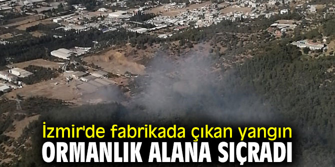 Fabrikada çıkan yangın ormanlık alana sıçradı