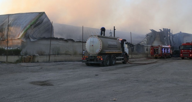 Geri dönüşüm fabrikasında yangın çıktı!