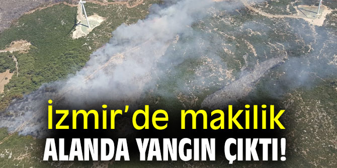 İzmir’de makilik alanda yangın çıktı!