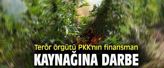 Terör örgütü PKK'nın finansman kaynağına darbe