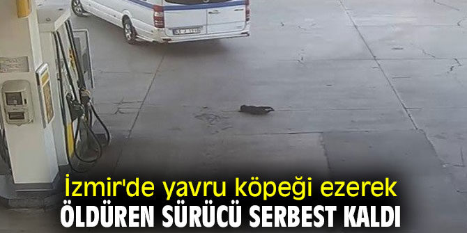 Yavru köpeği ezerek öldüren sürücü serbest kaldı
