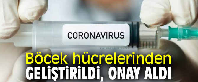 Böcek hücrelerinden geliştirildi, onay aldı
