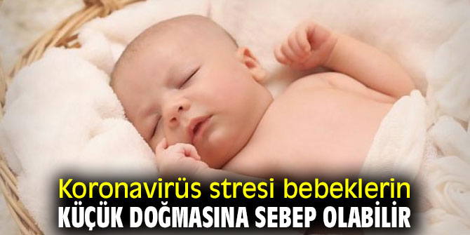 Koronavirüs stresi için yeni iddia! Bebeklerin küçük doğmasına sebep olabilir