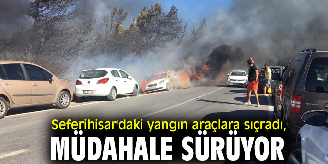 Seferihisar'daki yangın büyüyor!