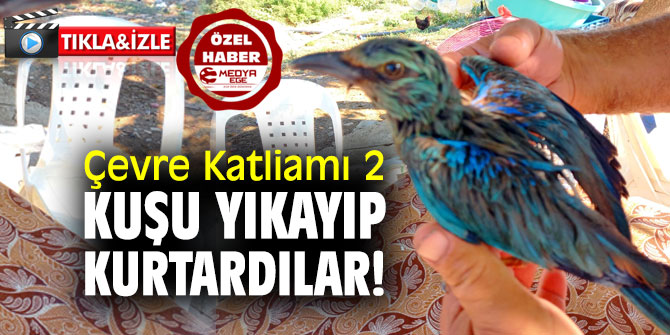 ÇEVRE KATLİAMI 2... KUŞU YIKAYIP KURTARDILAR!