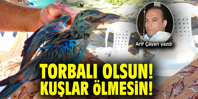 TORBALI OLSUN! KUŞLAR ÖLMESİN!