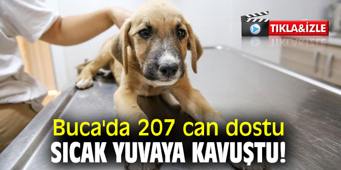Buca'da 207 can dostu sıcak yuvaya kavuştu!