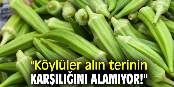 Köylüler alın terinin karşılığını alamıyor!