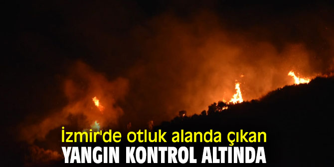 İzmir'de otluk alanda çıkan yangın kontrol altında