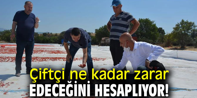 Çiftçi ne kadar zarar edeceğini hesaplıyor!