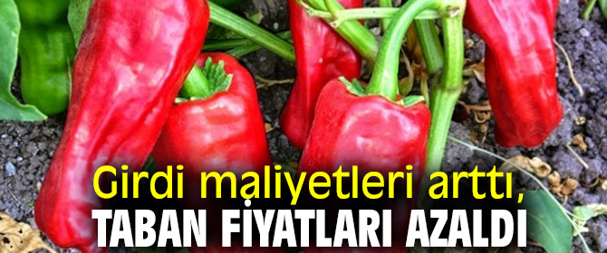 Girdi maliyetleri arttı, Taban fiyatları azaldı