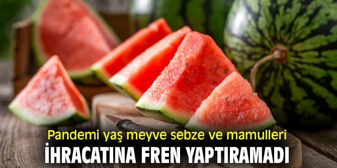 Pandemi yaş meyve sebze ve mamulleri ihracatını olumlu etkiledi